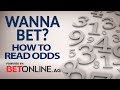 Guide to Reading Betting Odds: What they Mean & How to Use ...