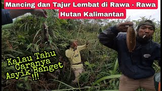 Mancing lembat di lubang | Najur Lembat di rawa hutan kalimantan