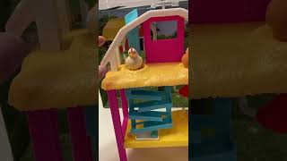 Toy Hen lays eggs