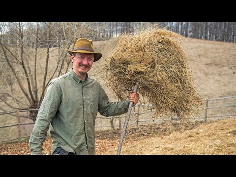 Video: Buruieni obișnuite - Care sunt buruienile obișnuite ale patului de grădină