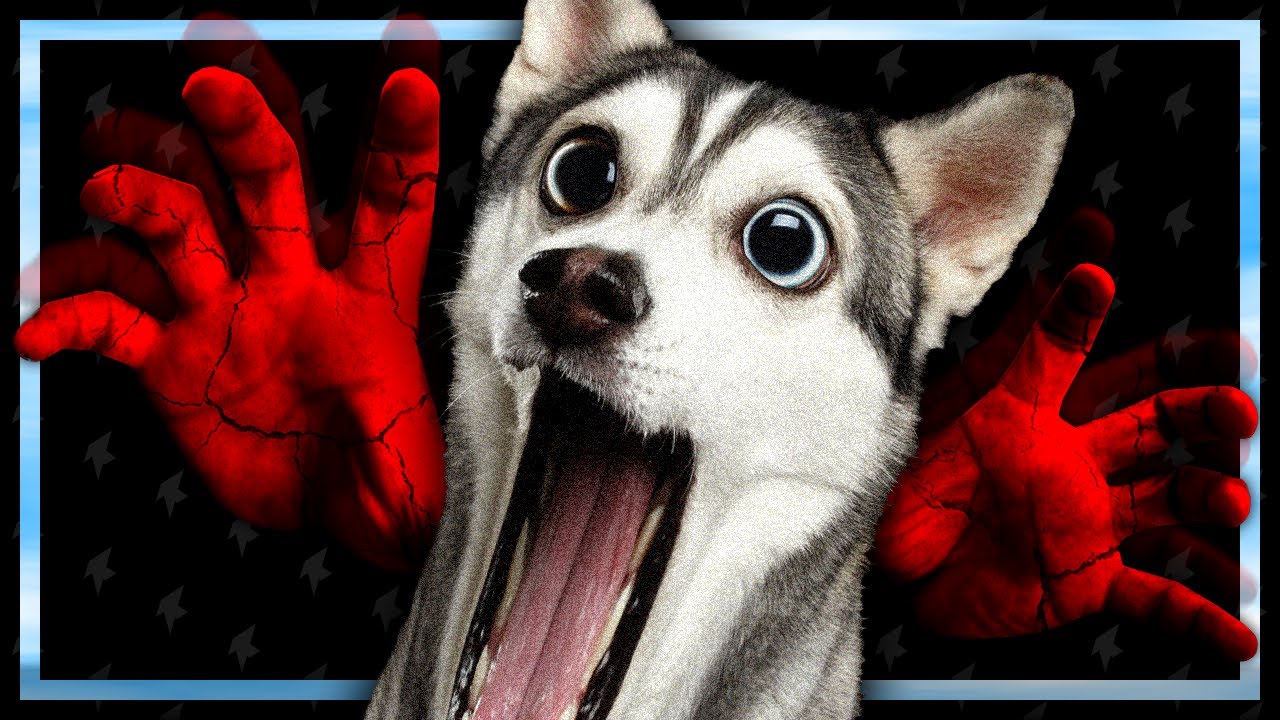 人を食べる悪霊がいﾀ呪ｽ4ｹ^ﾃ;a?' - Pacify #3