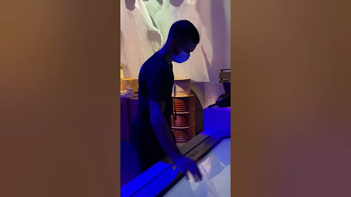 THE VIEW AT THE PALM - Dubai Palm Jumeirah Island View 4K 🇦🇪