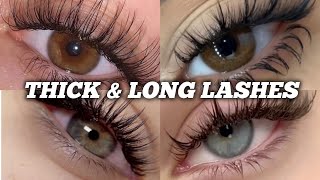 How To Grow Long Thick Lashes Fast 👀 | Natural Eyelash Growth Tips That Work