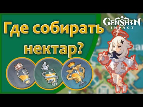 Где собирать нектар? | Genshin Impact