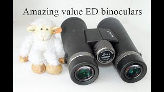 Levenhuk Nitro 8x42 ED Binoculars Review: The Perfect Pair for Any Adventure