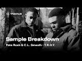 Sample breakdown pete rock  cl smooth  they reminisce over you troy