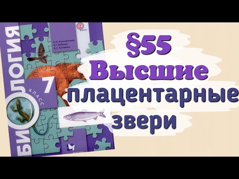 Краткий пересказ §55 Высшие или плацентарные звери. Биология 7 класс Константинова Бабенко