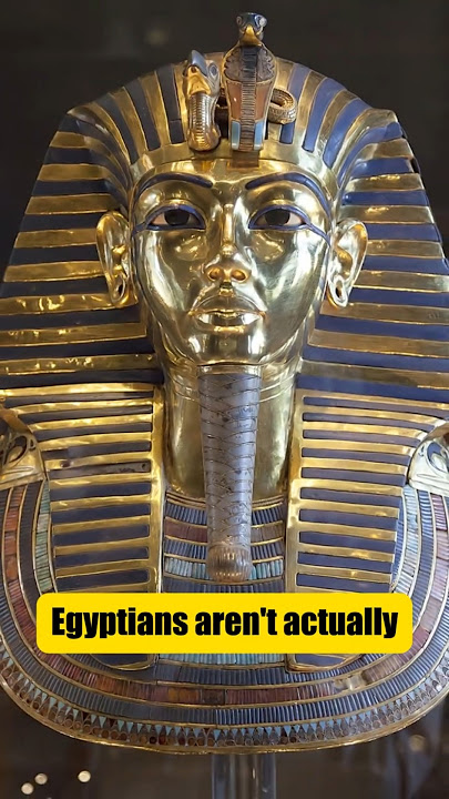 Are Egyptians Arabs ? || Dr Roy Casagranda