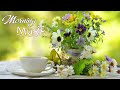 Morning Relaxing Music - Positive Piano Music for Stress Relief & Study - Coffee Music and Sunshine