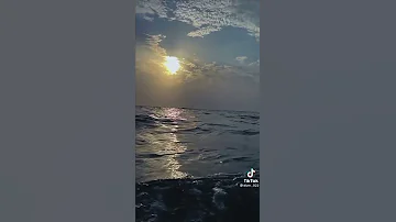٢٠ مارس ٢٠٢٢ 