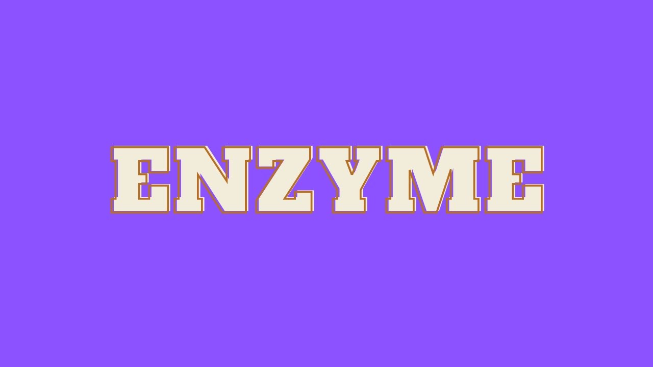 Enzyme Meaning YouTube