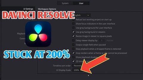 Davinci resolve ui display scale stuck at 200% problem solved...|THE ND TECH