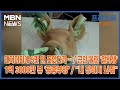 [프레스룸LIVE-LIVE PICK] 돼지머리에 5만 원 꽂았다가… / 군인 울린 &#39;알바생&#39; / 1억 3000만 뷰 &#39;공중부양&#39; / &quot;내 강아지 놔줘&quot;