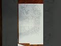 All-over Floral+ Gometrical Jaal Design ..Art & Artist...short
