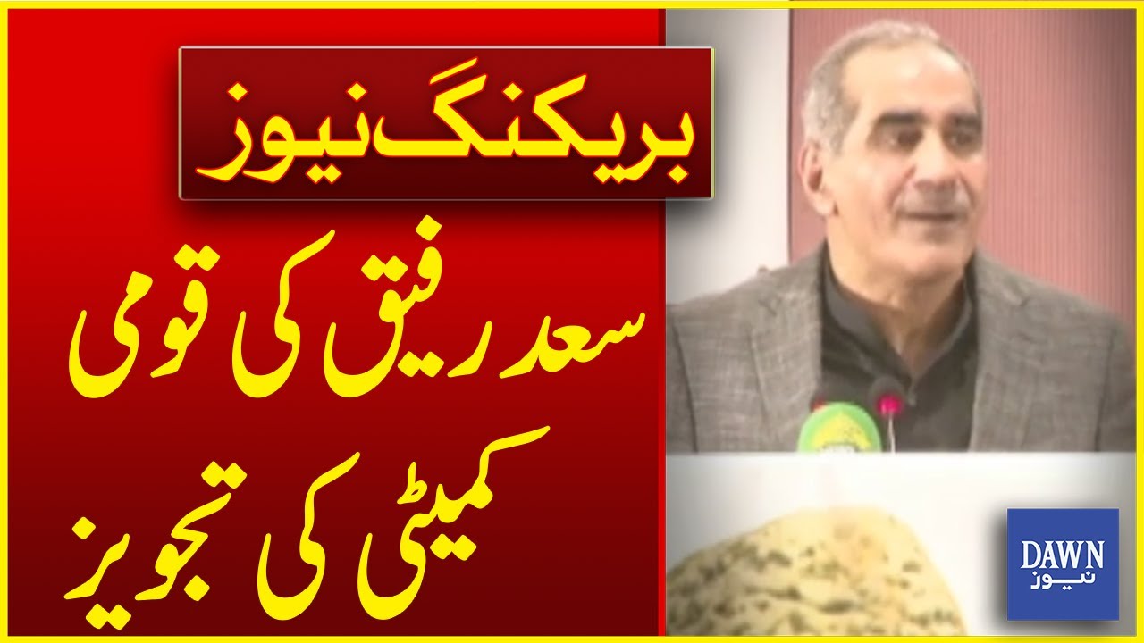 Said Rafiq Saad Rafiq Proposes National Committee to End Political Crises ...