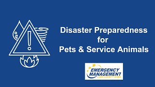 Disaster Preparedness for Pets and Service Animals