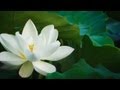 Book of Seasons - A year in Kanazawa (Full Documentary)