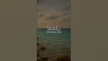 سورة آل عمران الآية (٨)
