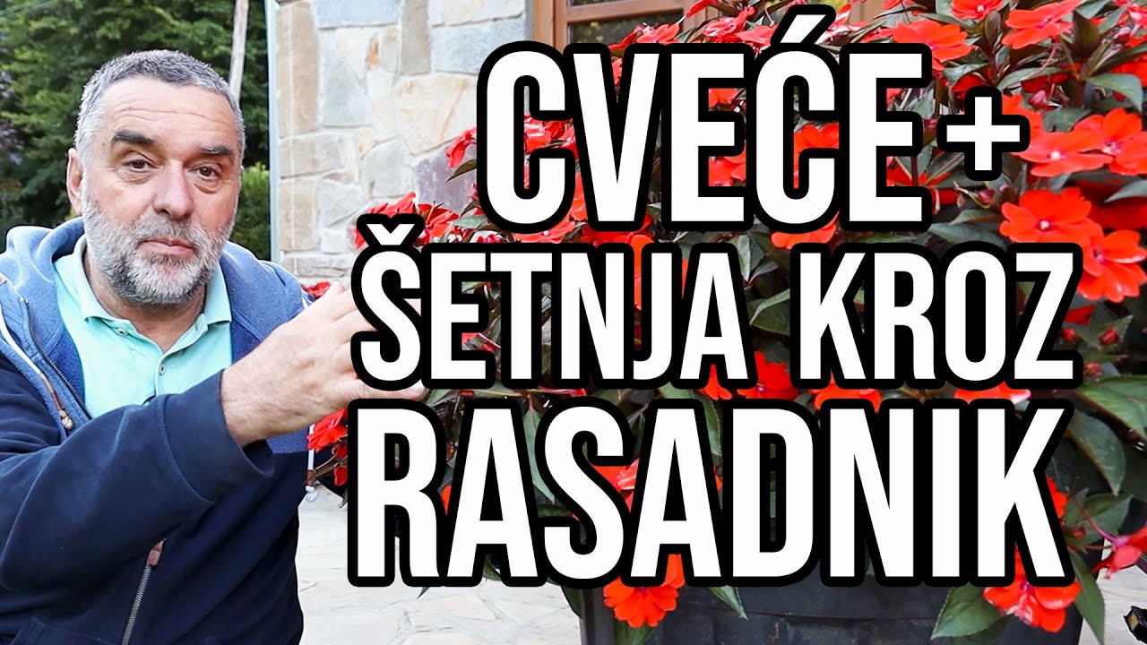 Cveće + šetnja kroz rasadnik