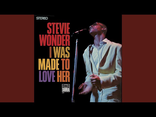 stevie wonder - everytime i see you