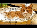 Funny Cats Playing With Water FULL Funny Pets
