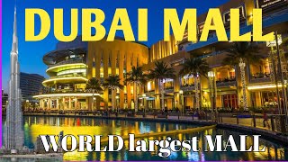 Dubai Mall ?? Famous mall in the world || dubai vlog.
