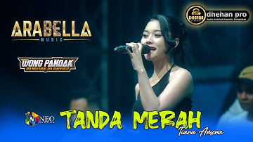 TANDA MERAH - Tiara Amora - ARABELLA MUSIC - DHEHAN PRO AUDIO - WONG PANDAK 2025