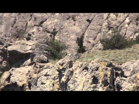 Автопробег Тула-Крым. 21.07.2015. Новый свет. Морская экскурсия на Царский пляж.