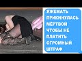 Яжемать прикинулась МЁРТВОЙ чтобы не платить огромный ШТРАФ.  Яжемать истории