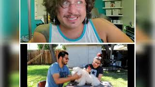 BLAKE HERNANDO - GROOMER REACTS EP. 8 - BACKYARD HOME GROOMING COVID EDITION - BRAD MONDO SPIN OFF