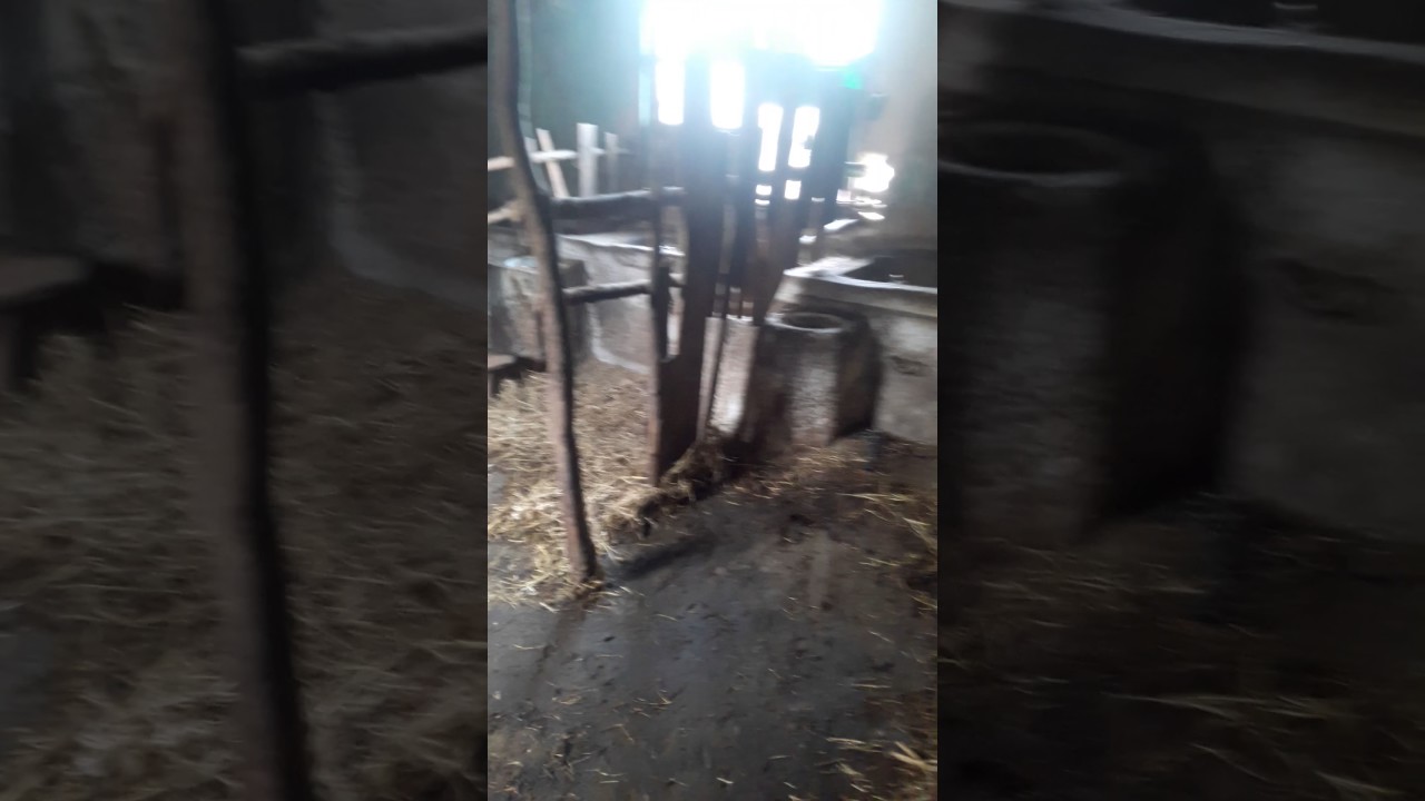 Paranormal Olaylan Cinli Ev [Cini Yakaladık] YouTube