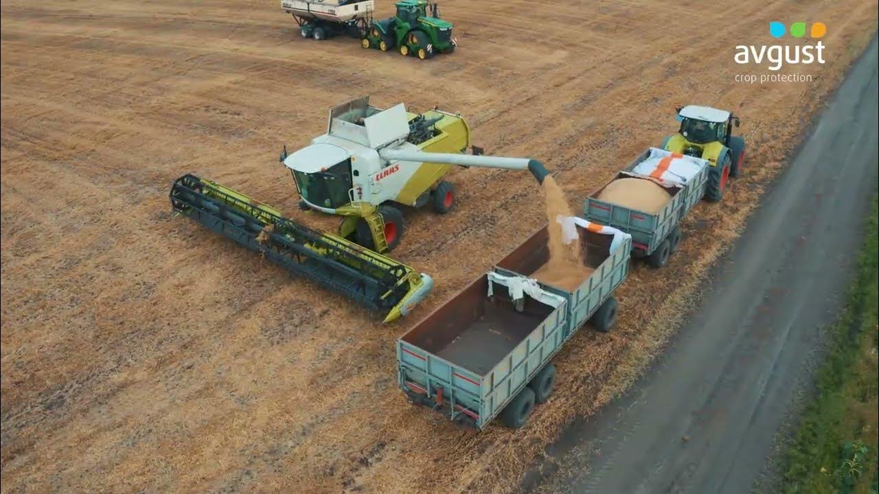 Қырантобы эмблема. Тоо ак. Тоо ак. Тоо ак. Зерносушилка алтай 27.