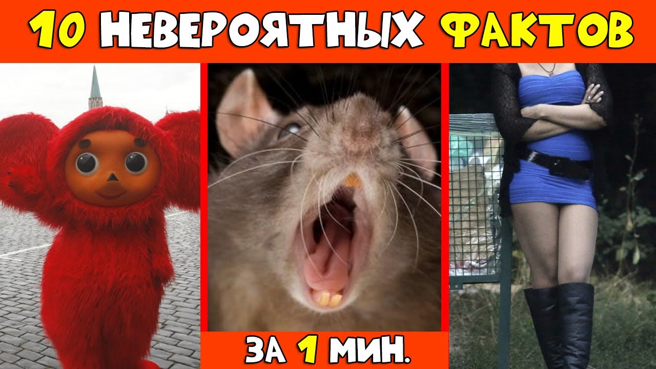 10 Невероятных Фактов За Одну Минуту | #shorts