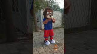 Adorable brown monkey with blue shirt and orange pants full body Mascot cosplay
