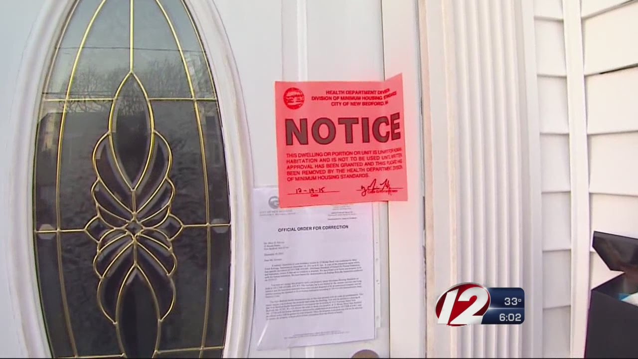 Police discover animal neglect while investigating hit-and-run