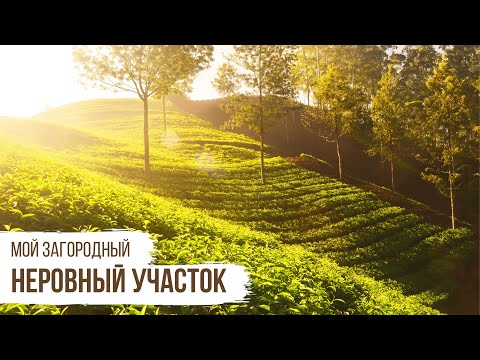 Неровный участок / Мой Загородный // #58