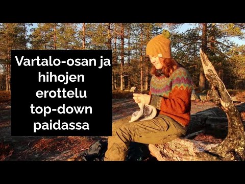 Video: Mitä ylhäältä alas- ja alhaalta ylös -lähestymistapa tarkoittaa?