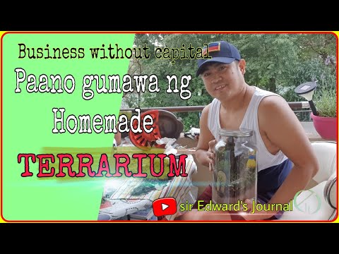 Video: Paano Gumawa Ng Isang Terrarium