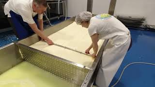 Video small cheese production line