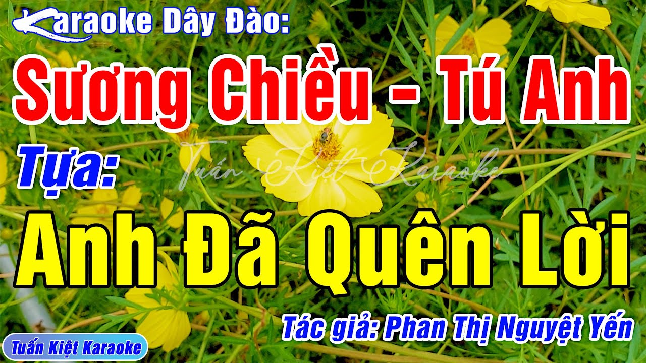 Karaoke Sương Chiều Tú Anh Anh Đã Quên Lời Dây Đào | Beat Mới Hay, Chuẩn – Tuấn Kiệt Karaoke