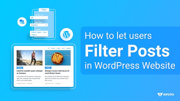 How to let users Filter posts in WordPress Website using PostX