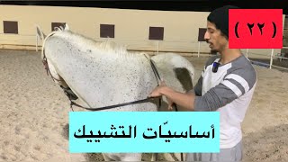 #تعلم_ركوب_الخيل ( ٢٢ ) أساسيات التشييك