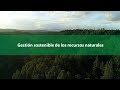 Gestión sostenible de los recursos naturales