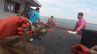 Did we make any money lobster fishing today?