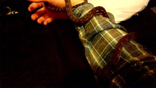 Taming Update - Dwarf Retic