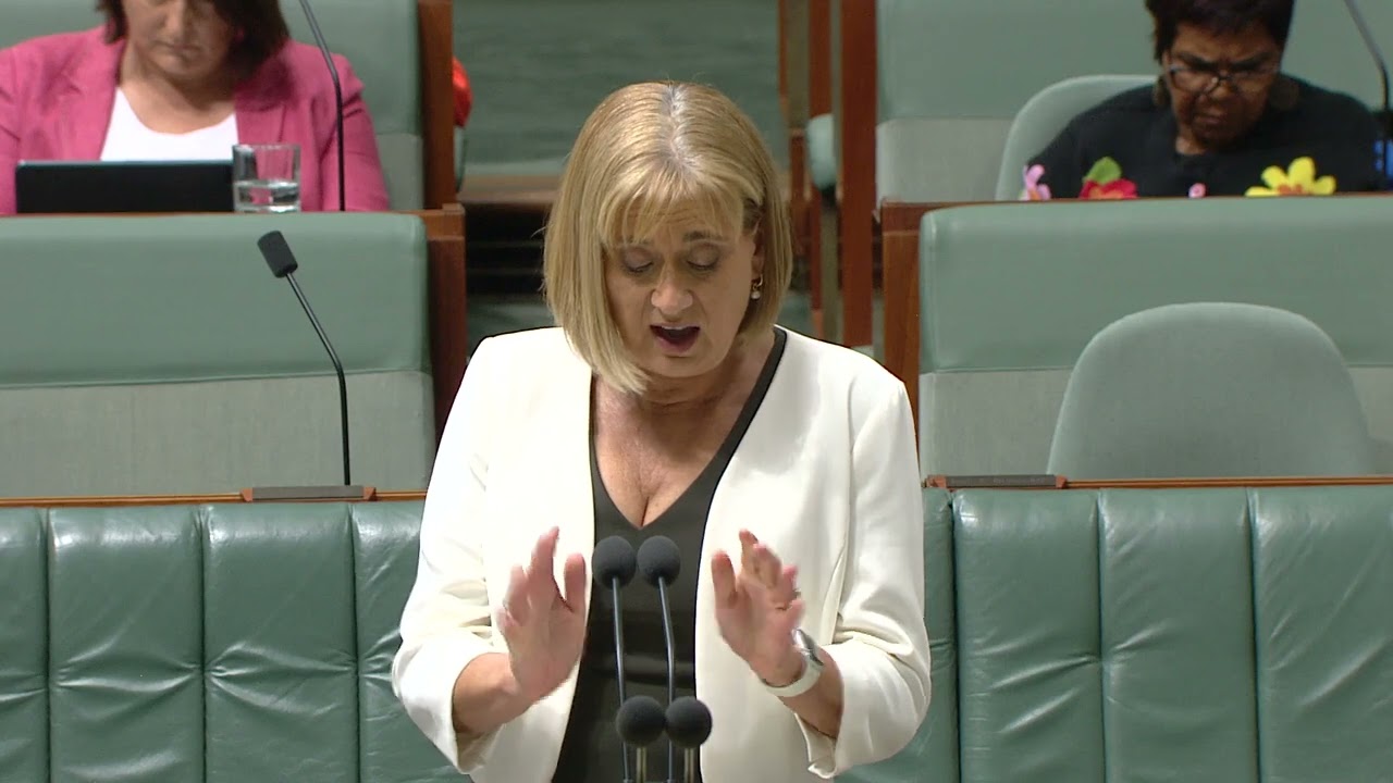 Labor is backing the North Coast II Justine Elliot MP