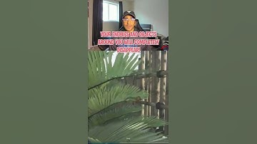 The invisible glitch is back in Warzone but this time its even worse!