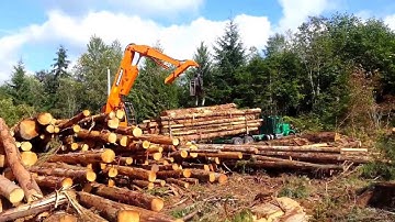 Loading conventional log truck using Doosan DX225LL track shovel.