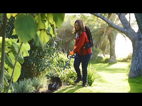 Vídeo: Como Criar Um Canteiro De Flores De Floração Contínua No Jardim