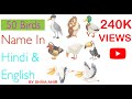 50 Birds Name In Hindi And English For kids  Learning with Picture| Daily Creative